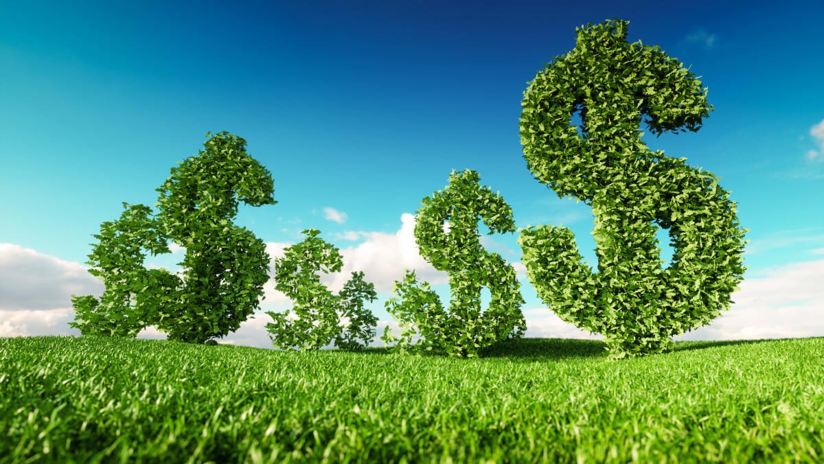 canva eco friendly business green finance petmal