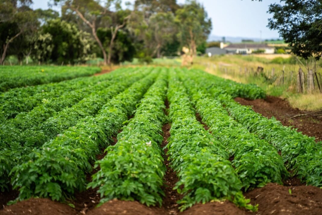 ΕΕ:-Αυστηρότερους-και-καλύτερους-ελέγχους-στα-εισαγόμενα-αγροδιατροφικά-προϊόντα-ζήτησε-η-Ελλάδα