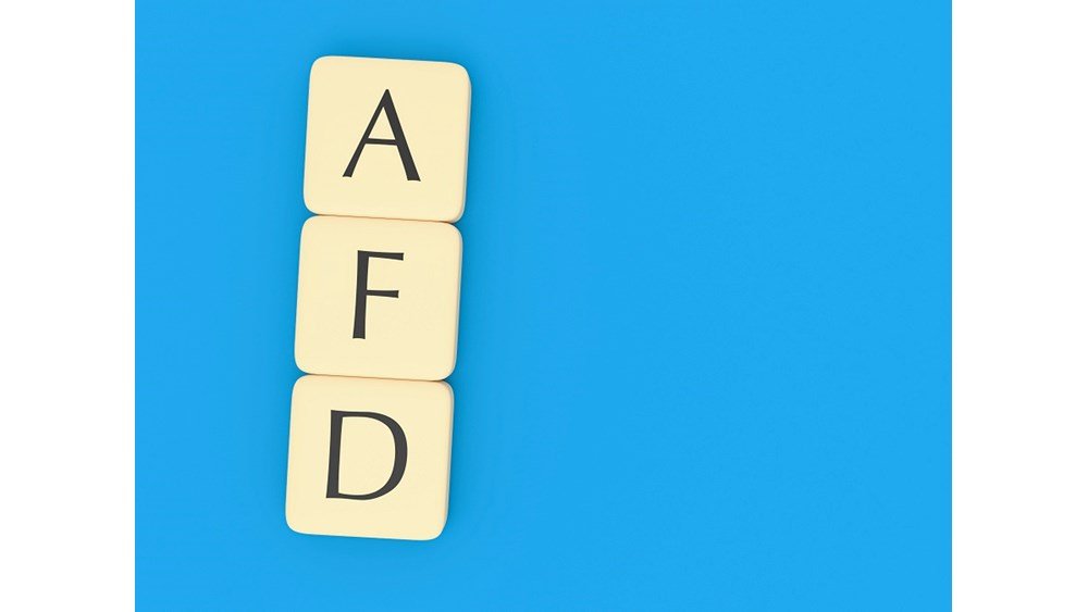 Γερμανία: Δικαστική απόφαση απαγορεύει προς το παρόν την ταξινόμηση της AfD ως “επιβεβαιωμένα ακροδεξιάς”