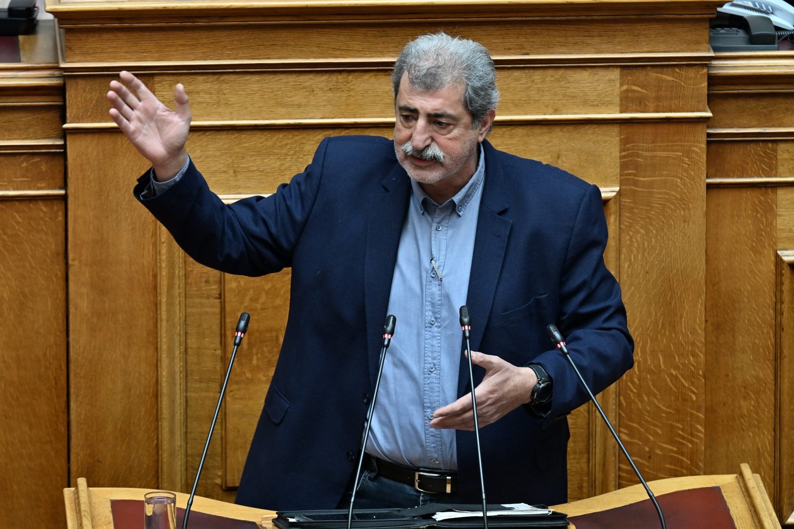 Παύλος Πολάκης