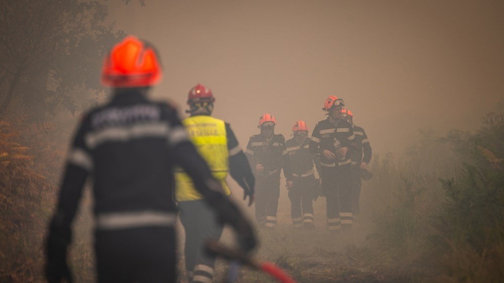 Πορτογαλία: Περίπου 800 πυροσβέστες έχουν κινητοποιηθεί για να αντιμετωπίσουν πυρκαγιά στο βόρειο τμήμα της χώρας Πορτογαλία:-Περίπου-800-πυροσβέστες-έχουν-κινητοποιηθεί-για-να-αντιμετωπίσουν-πυρκαγιά-στο-βόρειο-τμήμα-της-χώρας