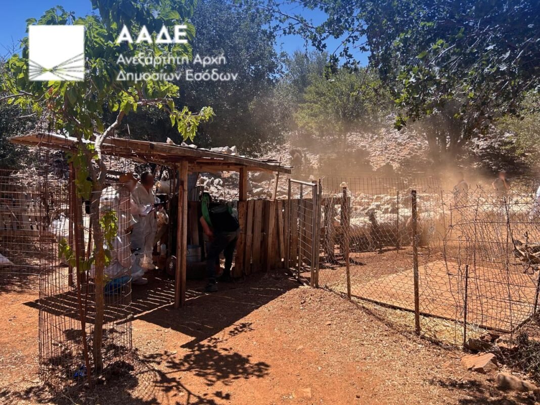 ΑΑΔΕ: Πρώτος μαζικός έλεγχος για αγροτικές επιδοτήσεις στην Κρήτη – Προσήλθαν μόνο 75 από τους 195 κτηνοτρόφους ΑΑΔΕ:-Πρώτος-μαζικός-έλεγχος-για-αγροτικές-επιδοτήσεις-στην-Κρήτη-–-Προσήλθαν-μόνο-75-από-τους-195-κτηνοτρόφους