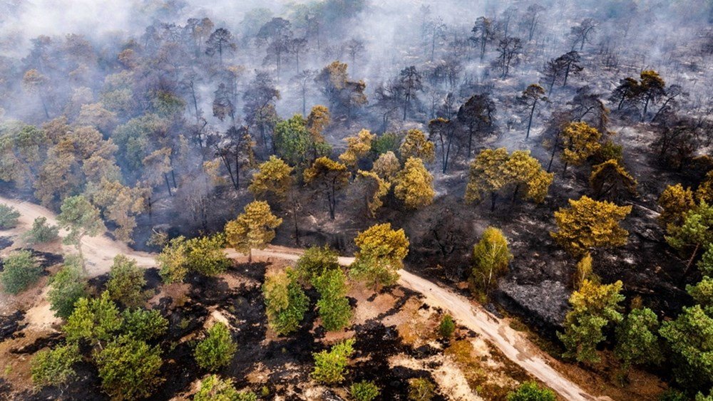 Ολλανδία: Εκατοντάδες πυροσβέστες δίνουν μάχη με τις φλόγες για την κατάσβεση δασικής πυρκαγιάς Ολλανδία:-Εκατοντάδες-πυροσβέστες-δίνουν-μάχη-με-τις-φλόγες-για-την-κατάσβεση-δασικής-πυρκαγιάς