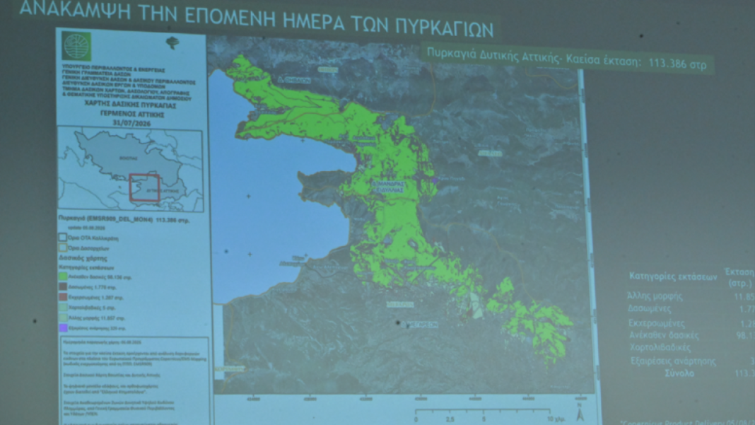 Παπασταύρου για Δυτική Αττική: Άμεσα έργα αποκατάστασης, αναδάσωση και ενίσχυση της πρόληψης Παπασταύρου-για-Δυτική-Αττική:-Άμεσα-έργα-αποκατάστασης,-αναδάσωση-και-ενίσχυση-της-πρόληψης