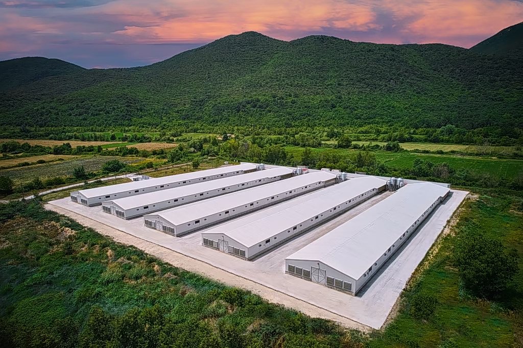 Νιτσιάκος: Άλμα κερδοφορίας το 2025 – Η εξαγορά «φωτιά» από την MHP και οι στόχοι του 2026 Νιτσιάκος:-Άλμα-κερδοφορίας-το-2025-–-Η-εξαγορά-«φωτιά»-από-την-mhp-και-οι-στόχοι-του-2026