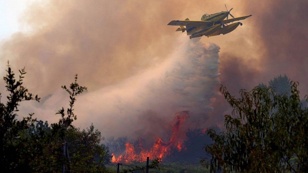 Πυρκαγιά αποτέφρωσε 16.500 στρέμματα στο μεγαλύτερο ορεινό φυσικό πάρκο του Βελγίου Πυρκαγιά-αποτέφρωσε-16.500-στρέμματα-στο-μεγαλύτερο-ορεινό-φυσικό-πάρκο-του-Βελγίου