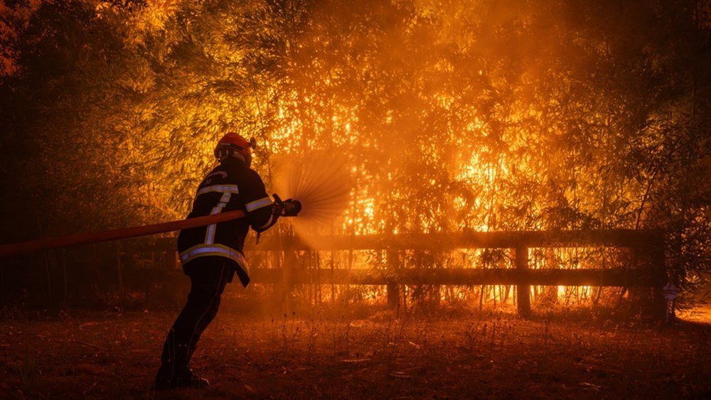 Βέλγιο: Συνεχίζονται οι προσπάθειες να αντιμετωπιστεί η μεγαλύτερη στην ιστορία της χώρας δασική πυρκαγιά Βέλγιο:-Συνεχίζονται-οι-προσπάθειες-να-αντιμετωπιστεί-η-μεγαλύτερη-στην-ιστορία-της-χώρας-δασική-πυρκαγιά
