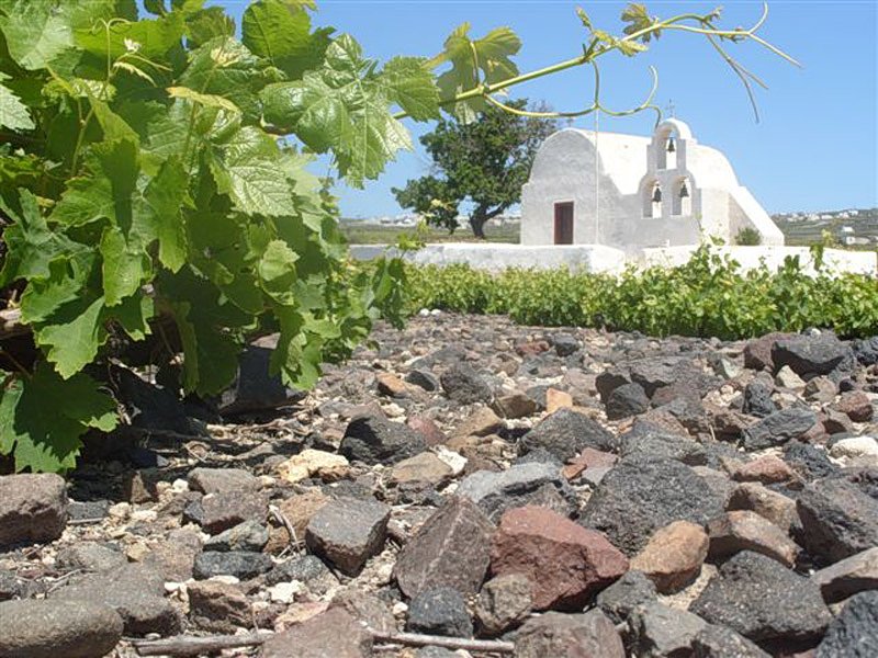 Santo Wines: Η κρίση του αμπελώνα, η συρρίκνωση του οινοτουρισμού και ο «κόφτης» στα έξοδα santo-wines:-Η-κρίση-του-αμπελώνα,-η-συρρίκνωση-του-οινοτουρισμού-και-ο-«κόφτης»-στα-έξοδα