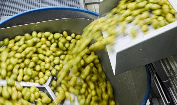 ari foods: «Σπριντ» τζίρου και επενδύσεων το 2025 – Νέοι κωδικοί και μείωση εξόδων στα σκαριά ari-foods:-«Σπριντ»-τζίρου-και-επενδύσεων-το-2025-–-Νέοι-κωδικοί-και-μείωση-εξόδων-στα-σκαριά