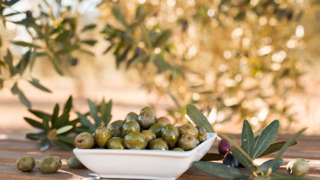 Παράταση εφαρμογής της υποχρεωτικής δήλωσης συγκομιδής ελαιοκάρπου Παράταση-εφαρμογής-της-υποχρεωτικής-δήλωσης-συγκομιδής-ελαιοκάρπου