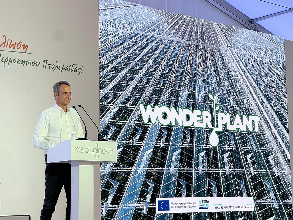 Wonderplant