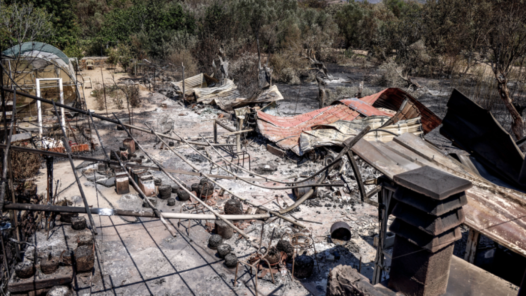 Αναστολή πράξεων αναγκαστικής εκτέλεσης για τους πληγέντες από τις πυρκαγιές του καλοκαιριού 2026 Αναστολή-πράξεων-αναγκαστικής-εκτέλεσης-για-τους-πληγέντες-από-τις-πυρκαγιές-του-καλοκαιριού-2026
